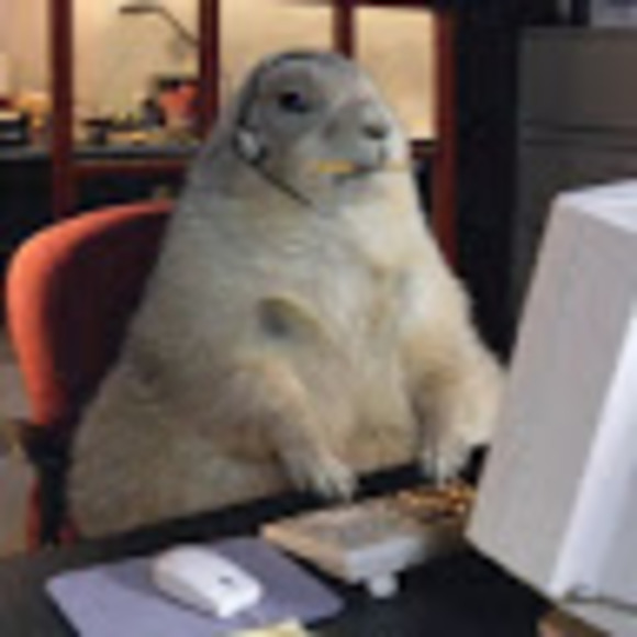 Meet your Posher, Will - Picture 1 of 1